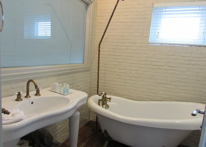 Louis Luxury * Stambuł